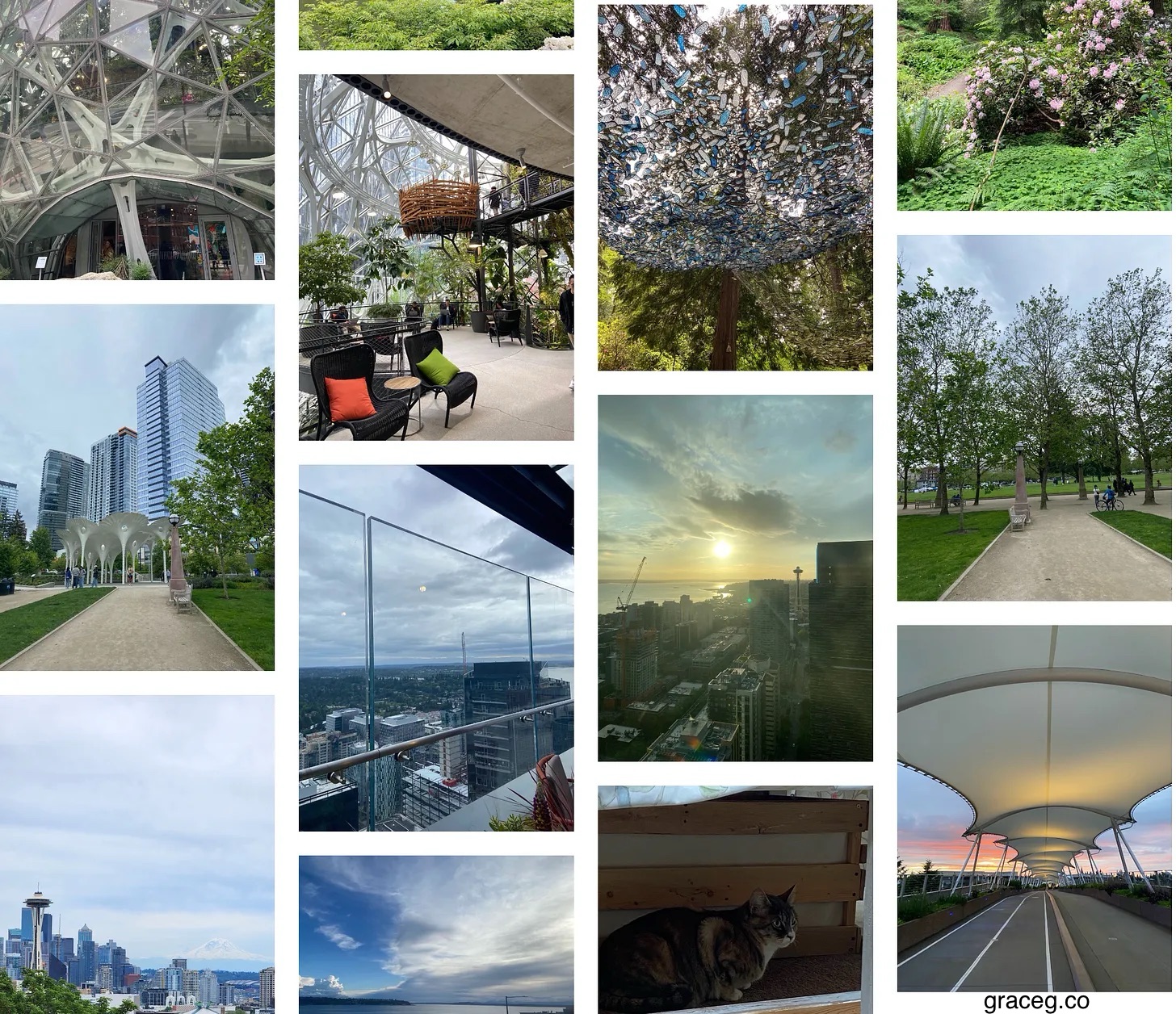 The Spheres, Piloti Sculpture by Marc Fornes, Washington Arboretum, Seattle Japanese Garden, Pedestrian bridge, Ginger the Cat